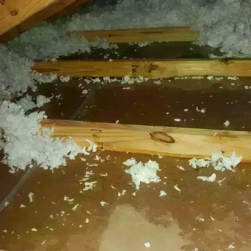 Attic Water Damage in Ballard, UT