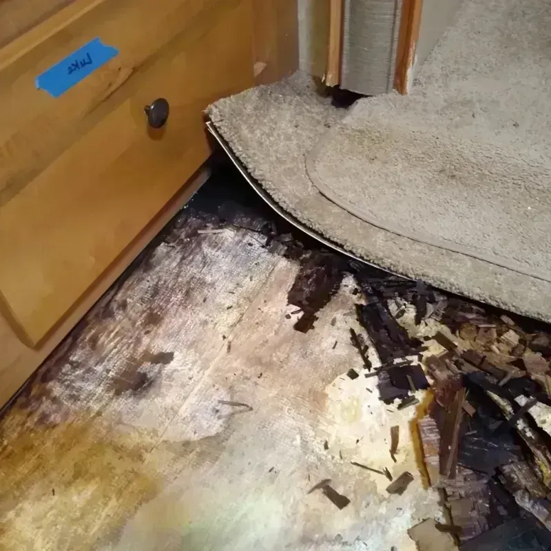 Wood Floor Water Damage in Ballard, UT